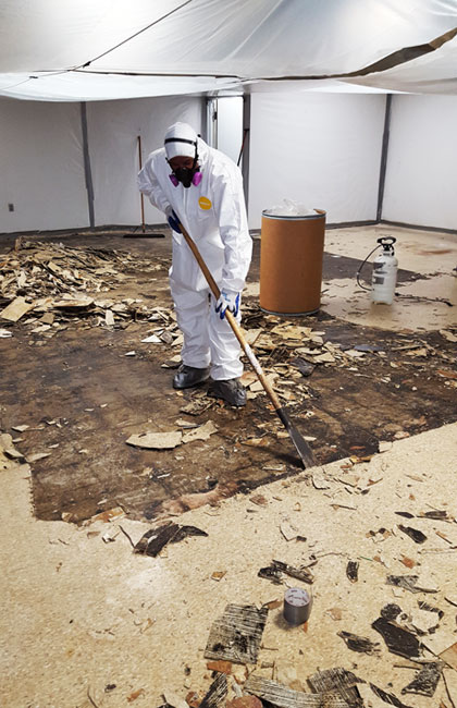 asbestos removal abatement mold removal remediation guano removal ma, nh, ri