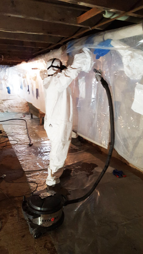 asbestos removal abatement - mold removal remediation - northborough ma, boston ma, worcester ma, ct, ri